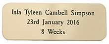 BRASS PLAQUE 50X20mm