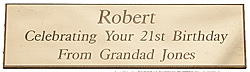 BRASS PLAQUE 90x25 thick brass bevelled edges