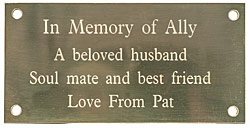 ENGRAVED BRASS PLAQUE 4 x 2 inches 100x50mm